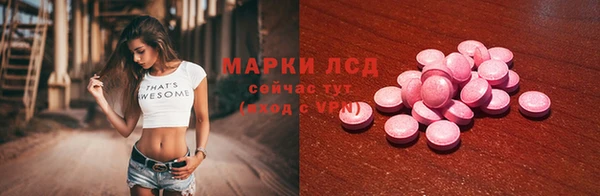 винт Лагань