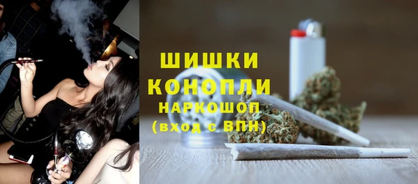 молекула духа Лабытнанги