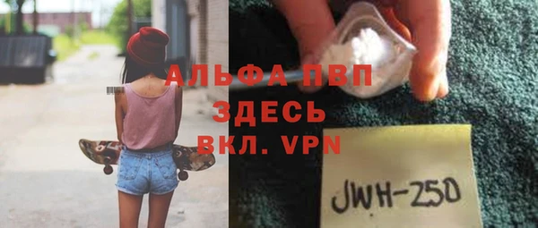 молекула духа Лабытнанги