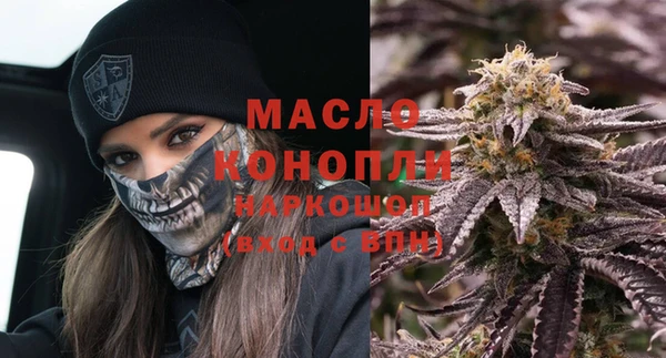винт Лагань