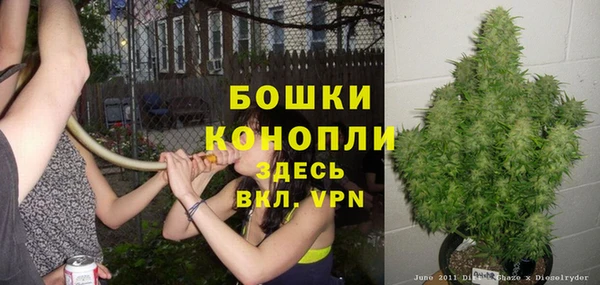 крисы Ладушкин