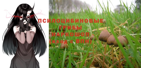 крисы Ладушкин