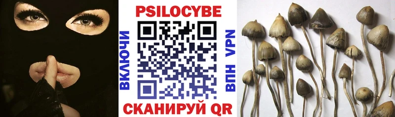 Псилоцибиновые грибы GOLDEN TEACHER  Мещовск 